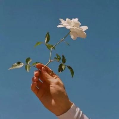 问道修仙游戏